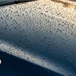 Close-up of a dark car hood with water beads and a wax jar in the corner.