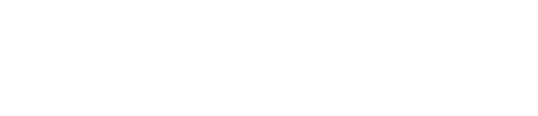 Bud Car Wash
